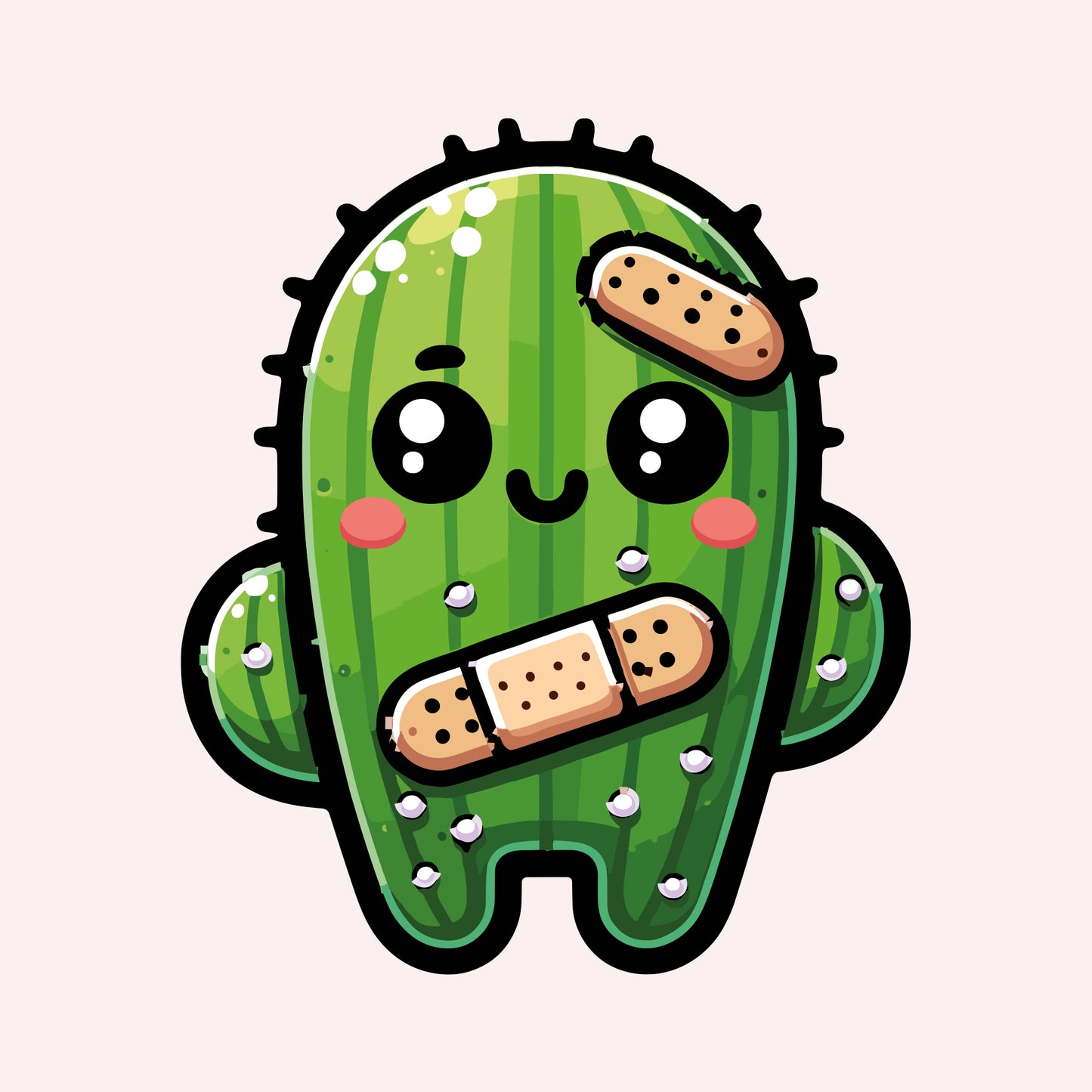 Cactus Pansements