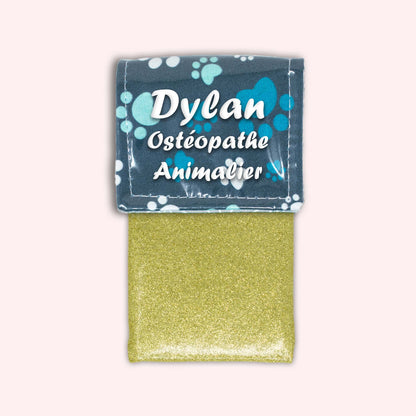 Magnetic pouch Blue pad