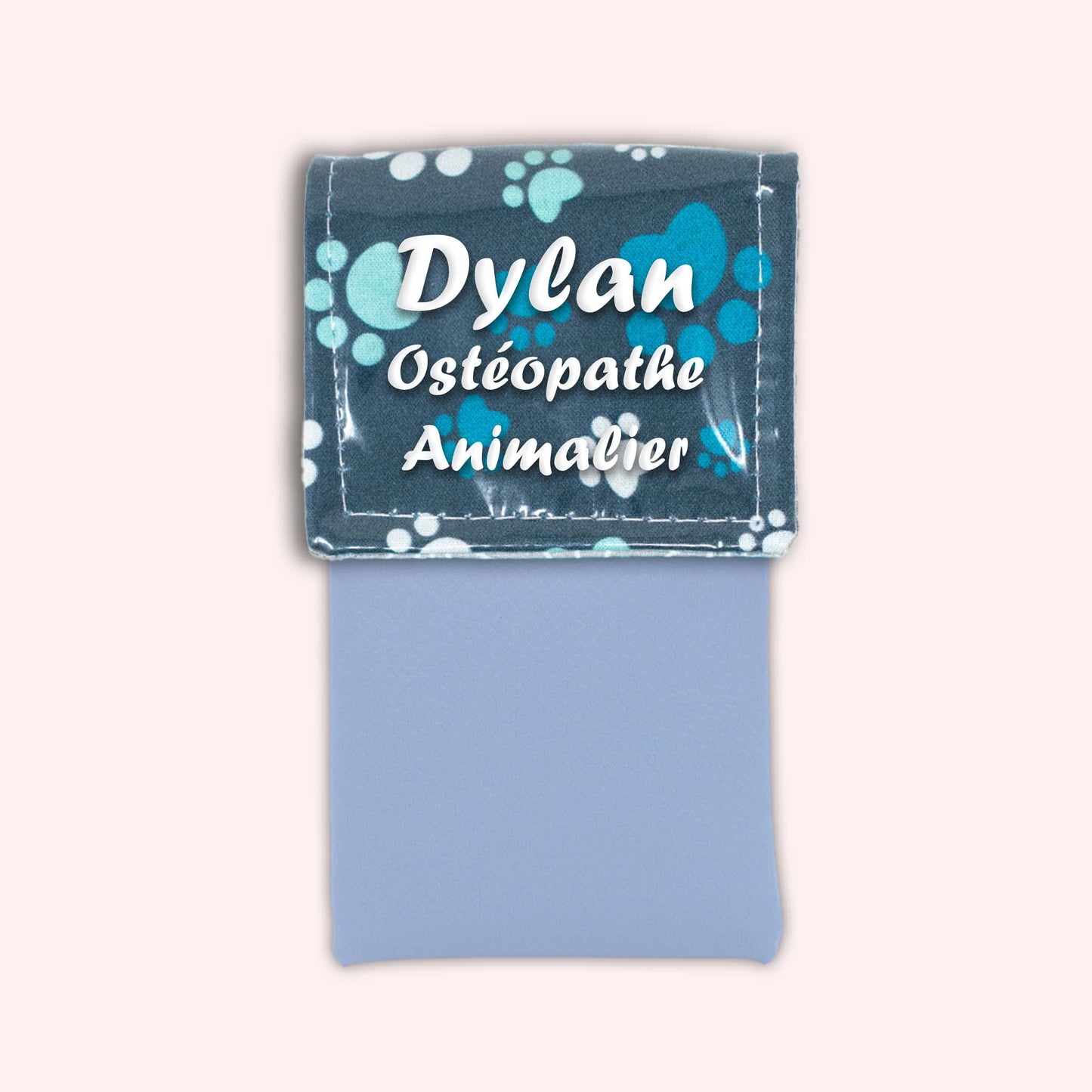 Magnetic pouch Blue pad