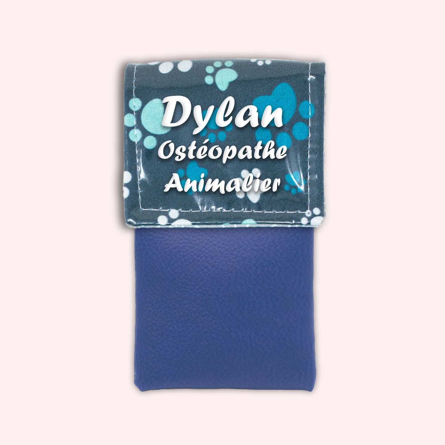 Magnetic pouch Blue pad