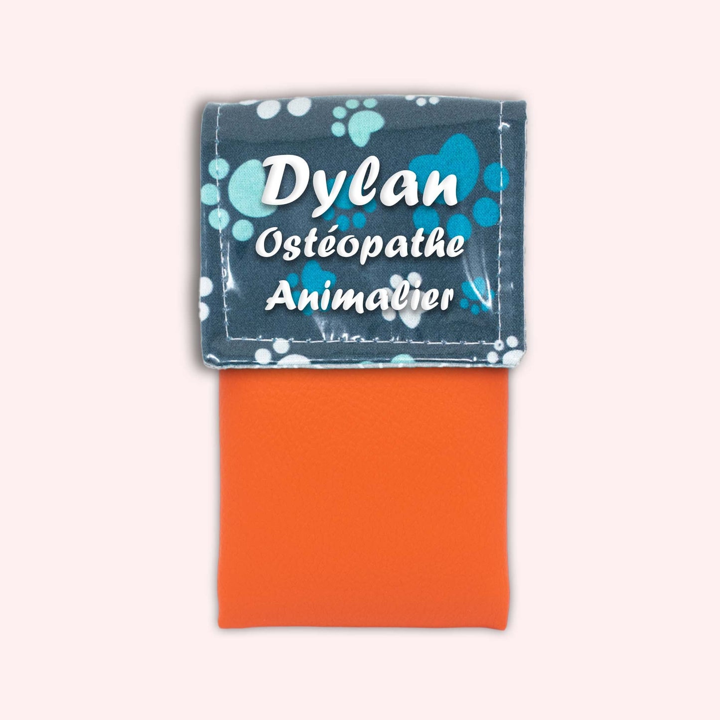 Magnetic pouch Blue pad