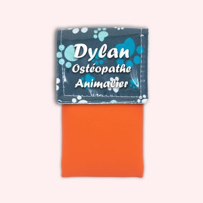 Magnetic pouch Blue pad