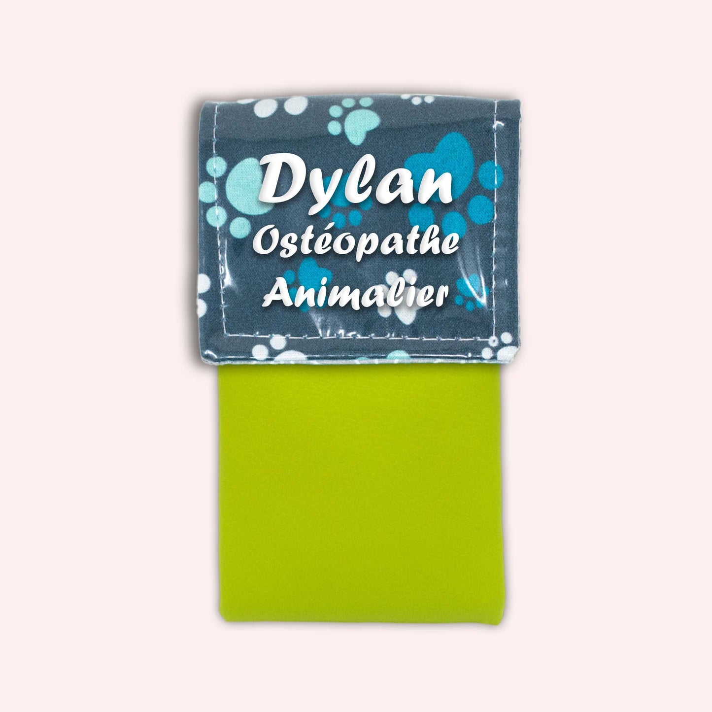 Magnetic pouch Blue pad